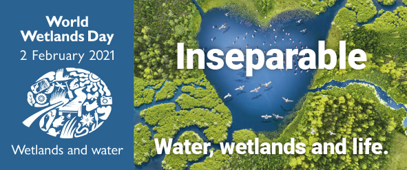 World Wetlands 2021