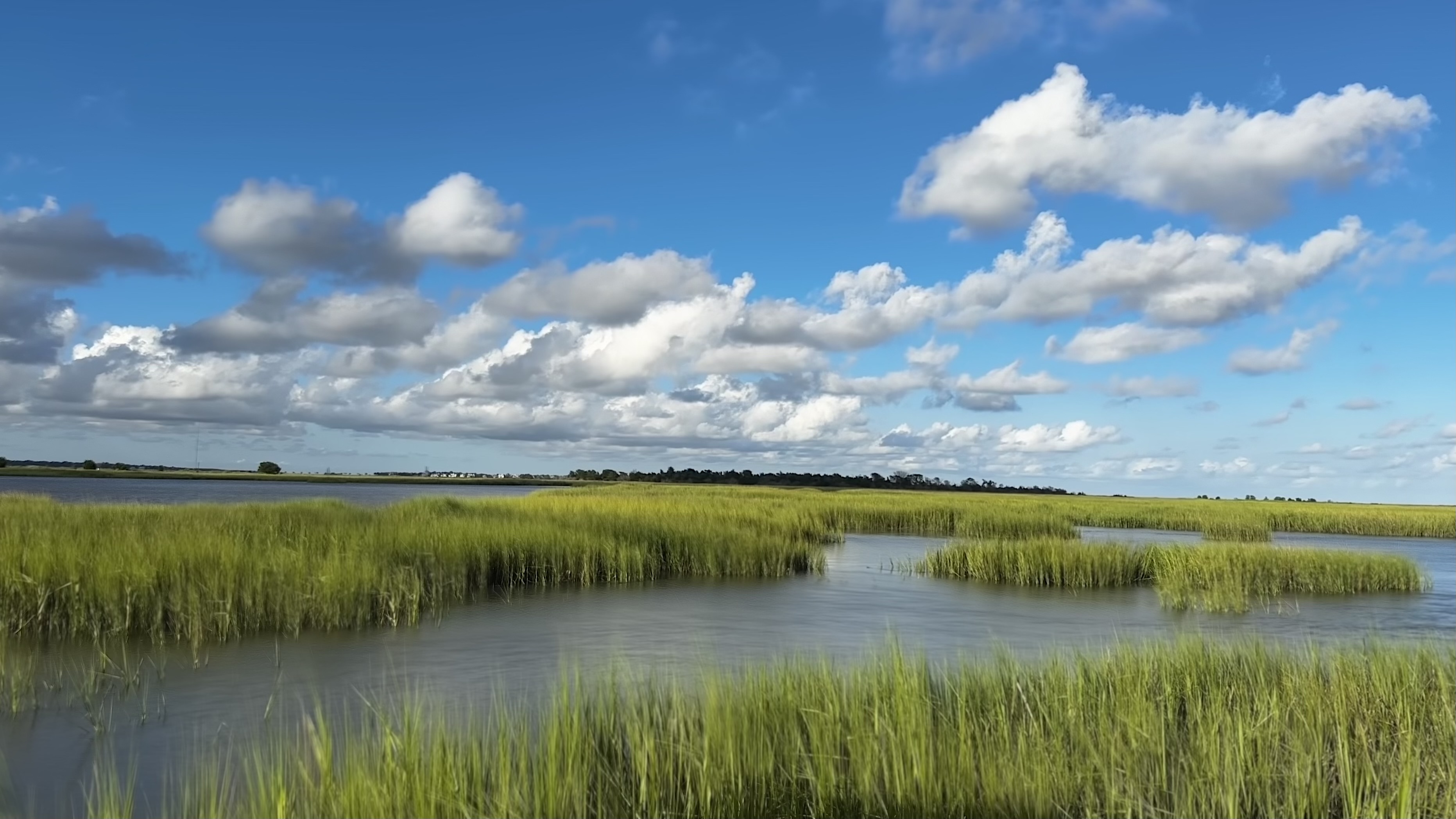 Photo of South Carolina marsh with large clouds