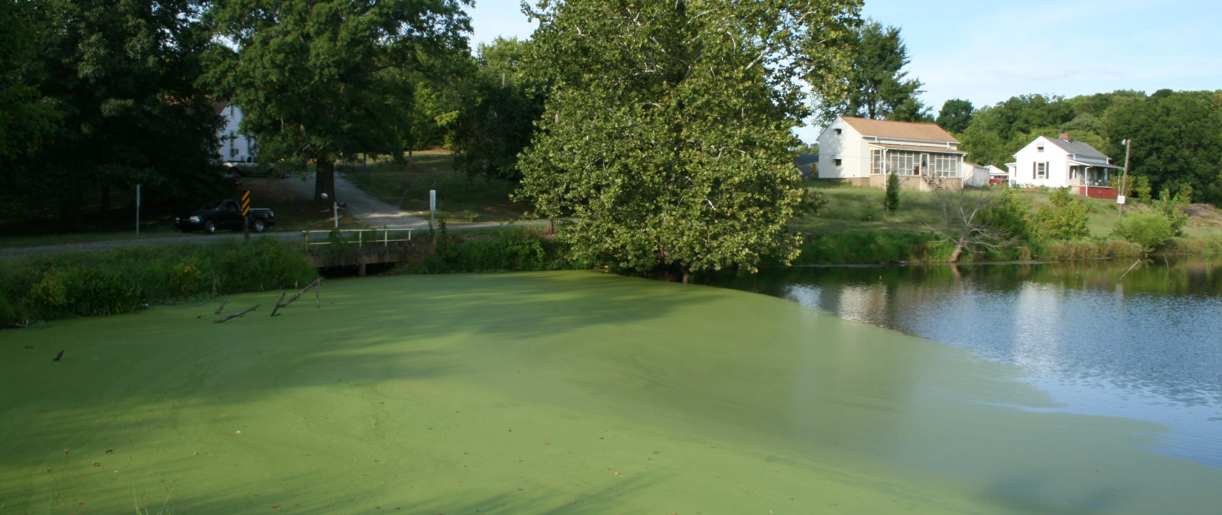 Algae lagoon in Swepsonville pond image
