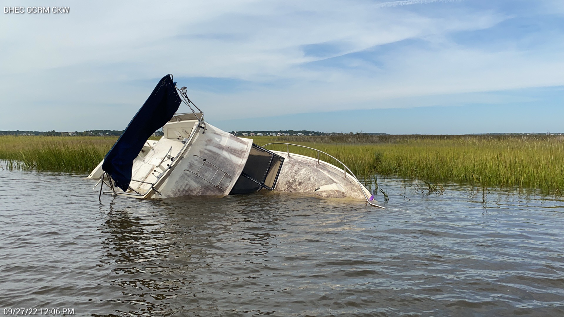 ADV in the Marsh