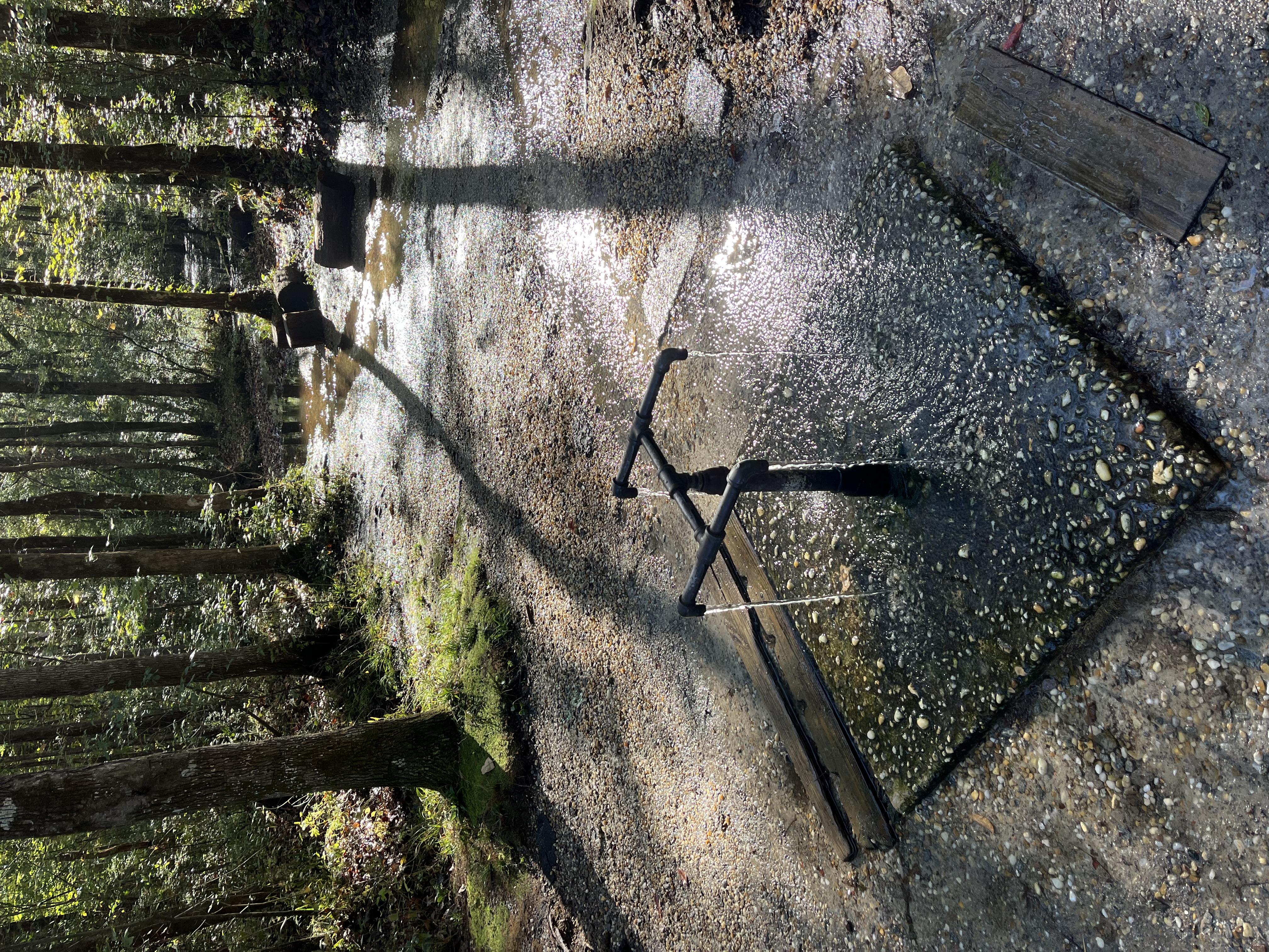 An image of water flowing from pipes at Healing springs onto a concrete pad with trees in the background and water flowing out of view