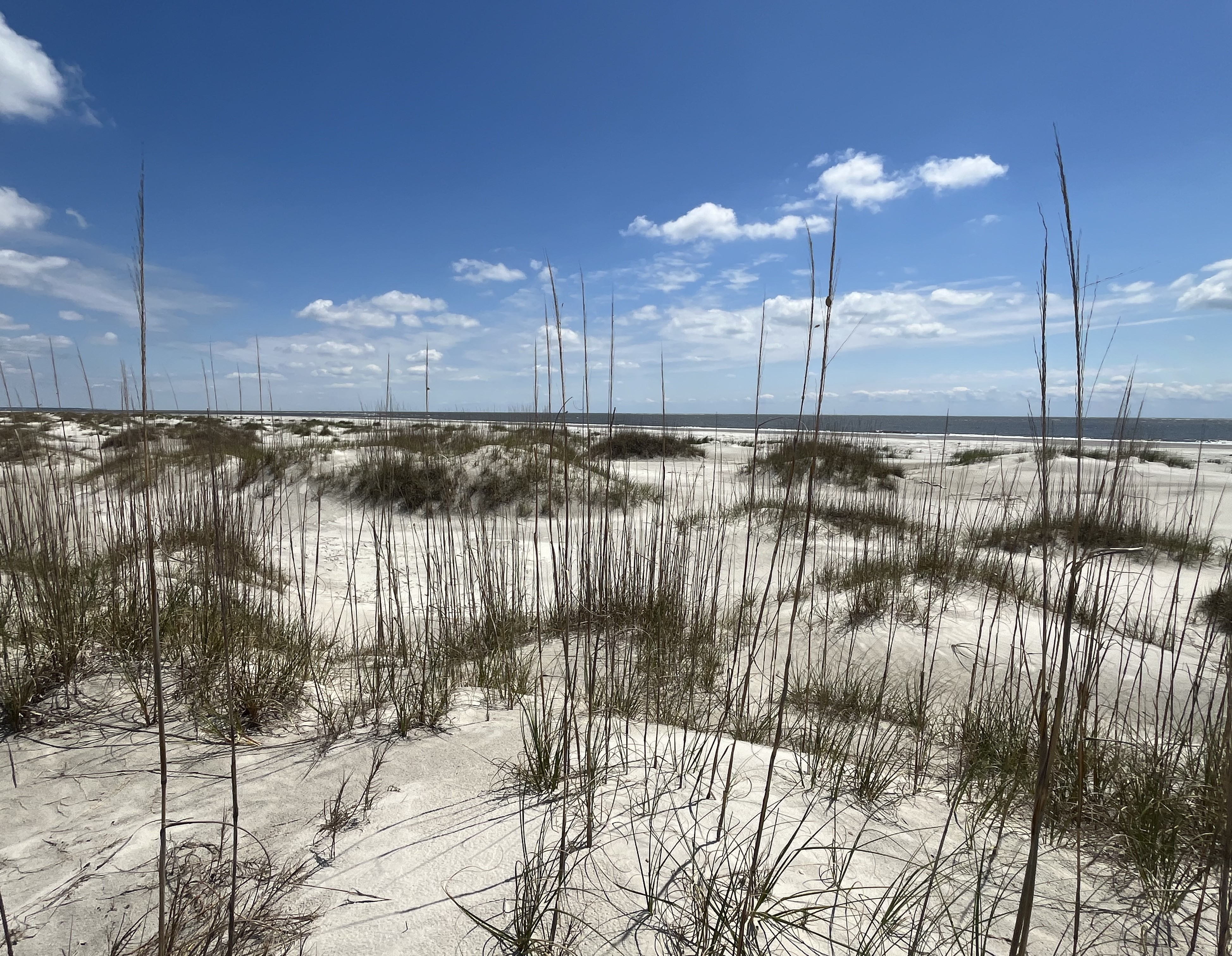 Picture of dunes