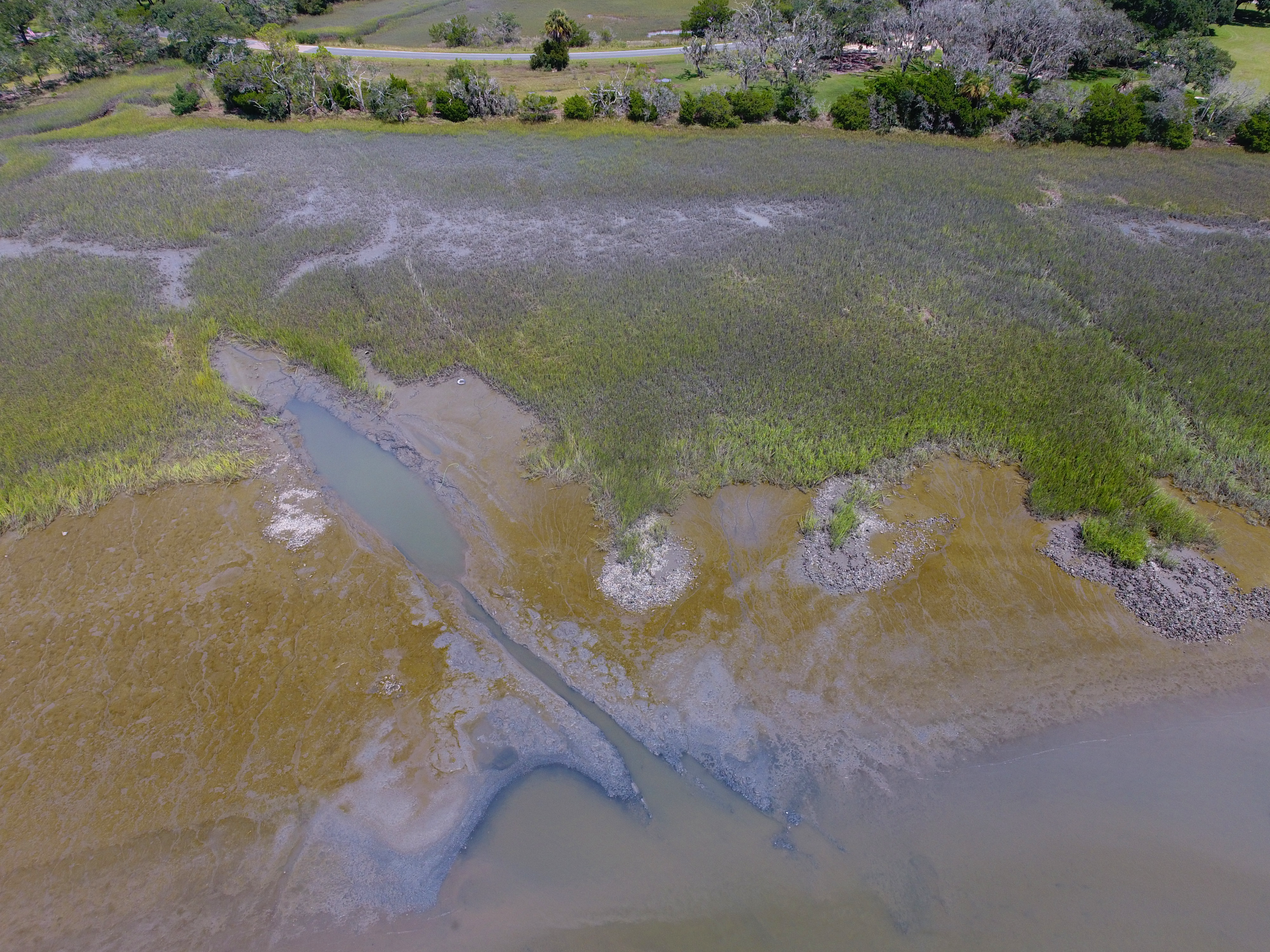 Aerial view of a marshland with patches of green vegetation, brown mud, and small water channels. In the background, there is a tree-lined area.