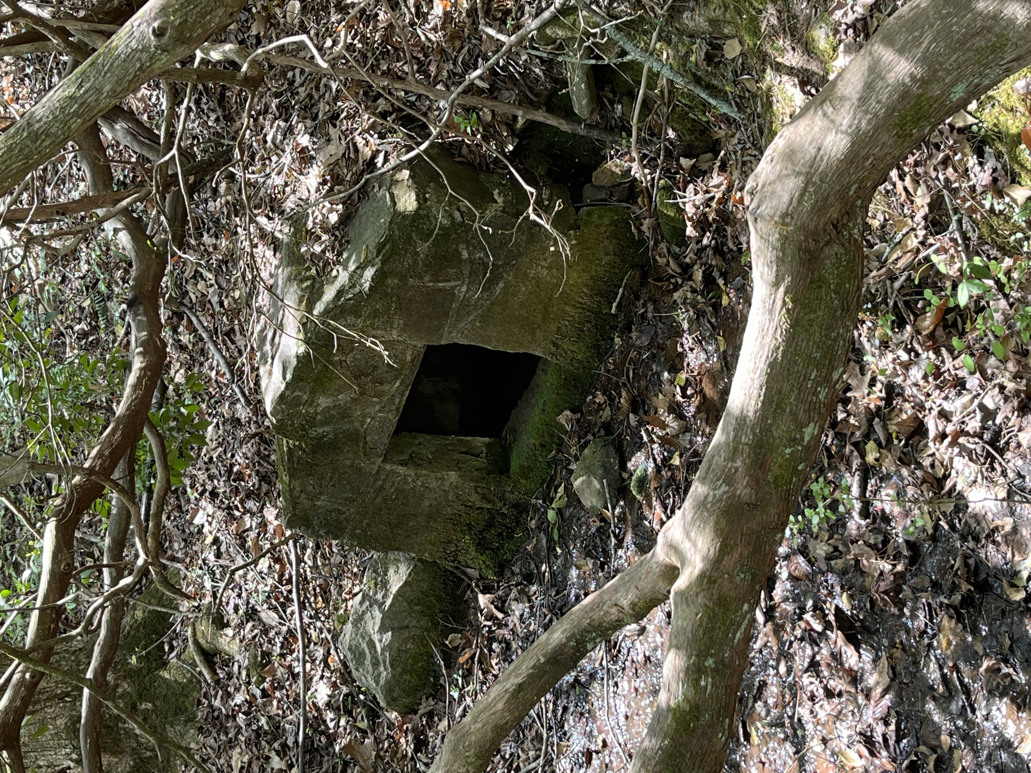 Springhouse in Pleasant ridge County park