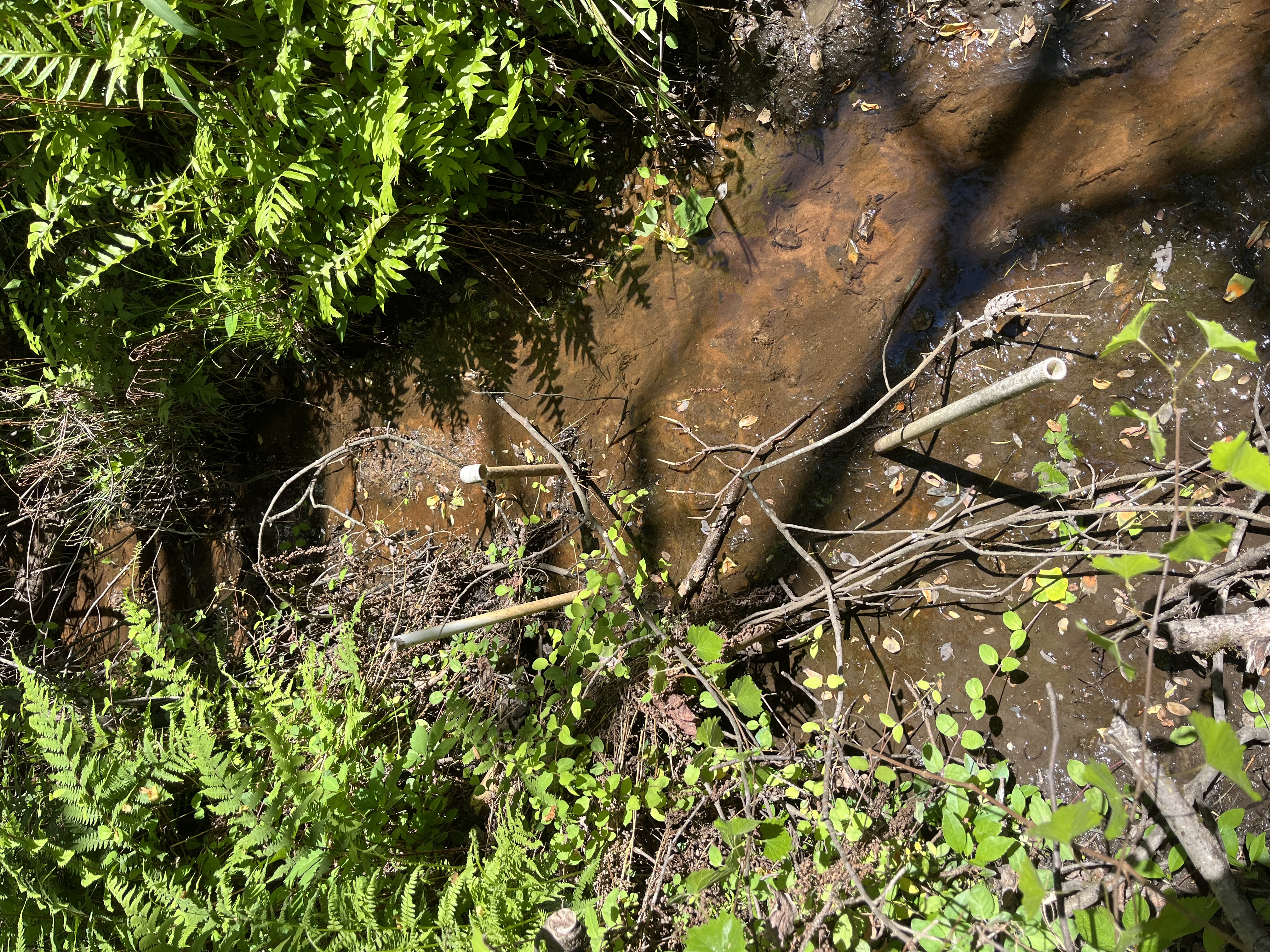 Pipes at original spring location.