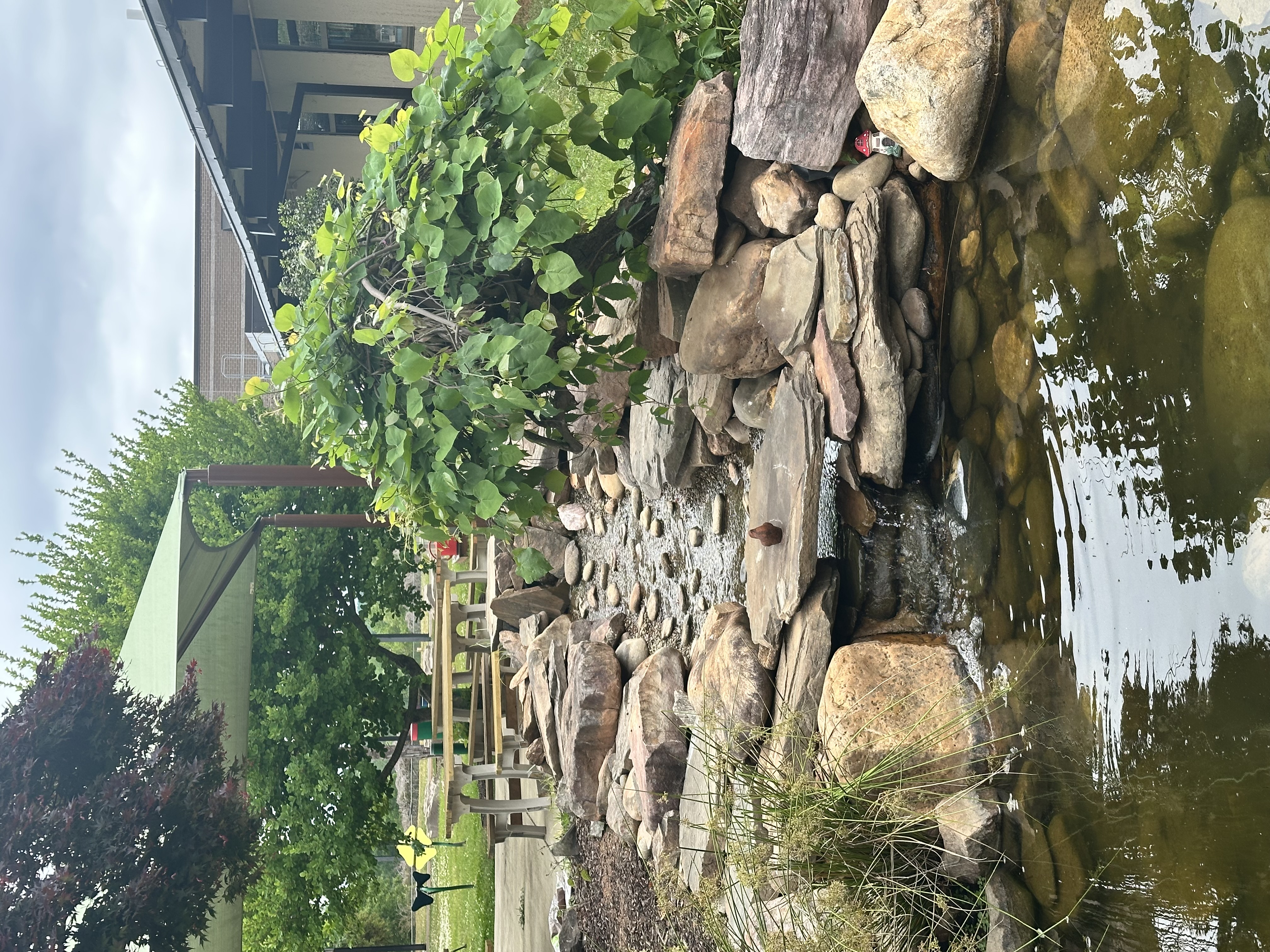 Restored School Pond