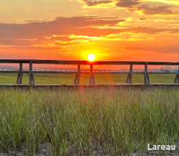 A photo of a bridge over a marsh at sunset