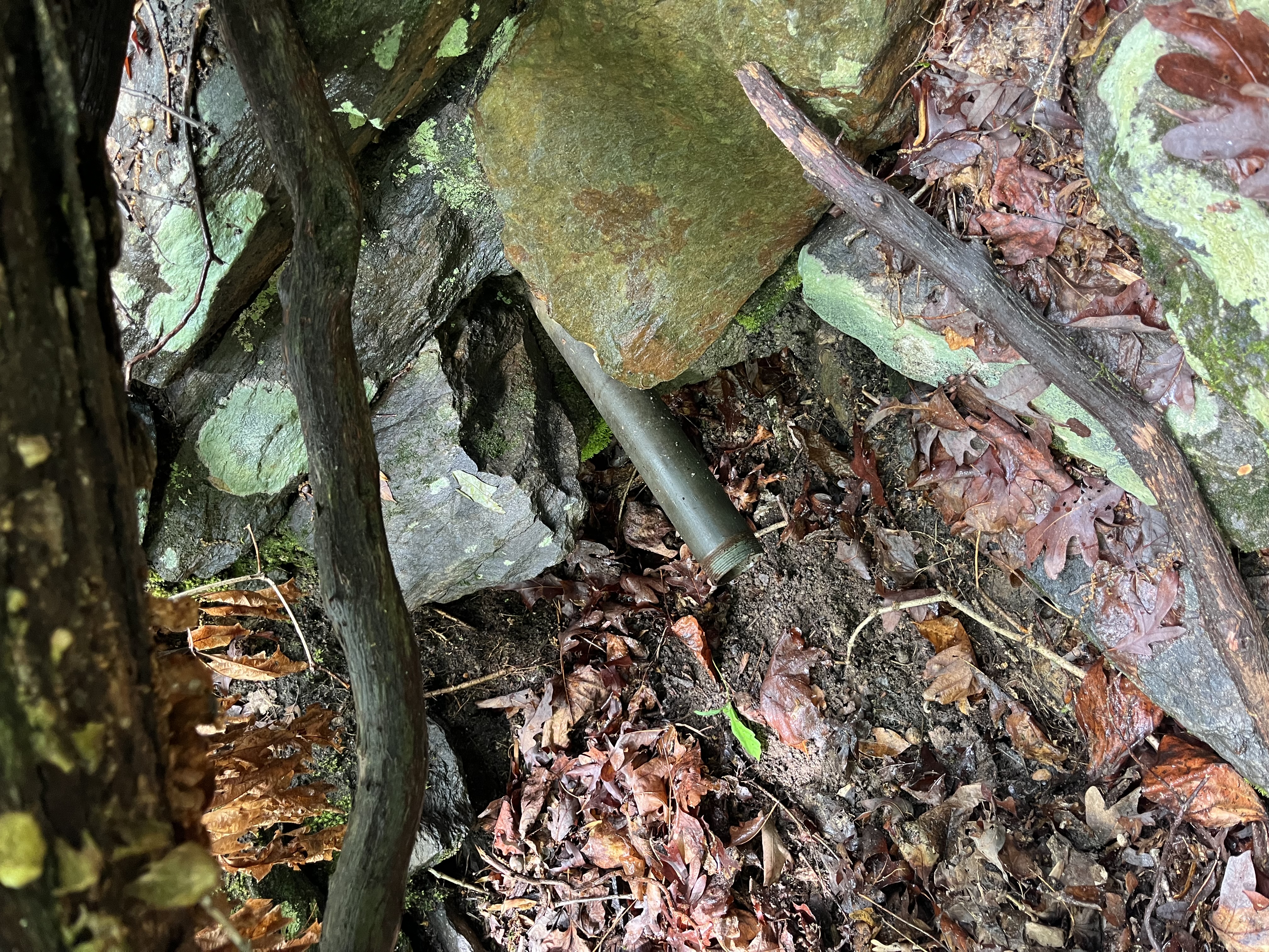 An image showing a metal pipe sticking out of rocks with fallen trees and many leaves in the area