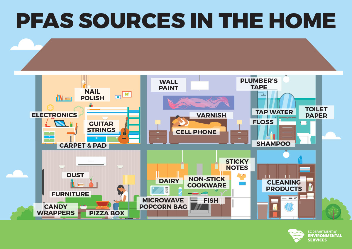 This image is an illustration showing sources of PFAS in a home, labeled throughout various rooms. It includes items like electronics, nail polish, wall paint, varnish, cell phones, plumber's tape, carpet, furniture, dust, dairy products, non-stick cookware, and cleaning products. A logo for the Department of Environmental Services is in the bottom corner.