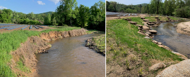 These images show the positive impact of a streambank stabilization project completed by Save Our Saluda with cost-share funding from the Section 319 Grant and the Natural Resources Conservation Service Environmental Quality Incentives Program. Comparing the before (left) and after (right) photos illustrates the success of an implementation project on Terry Creek in the North Saluda River watershed. 