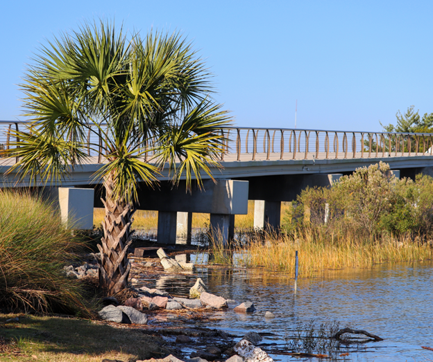A scenic view of a bridge over a calm body of water, surrounded by lush vegetation and a prominent palm tree in the foreground.
