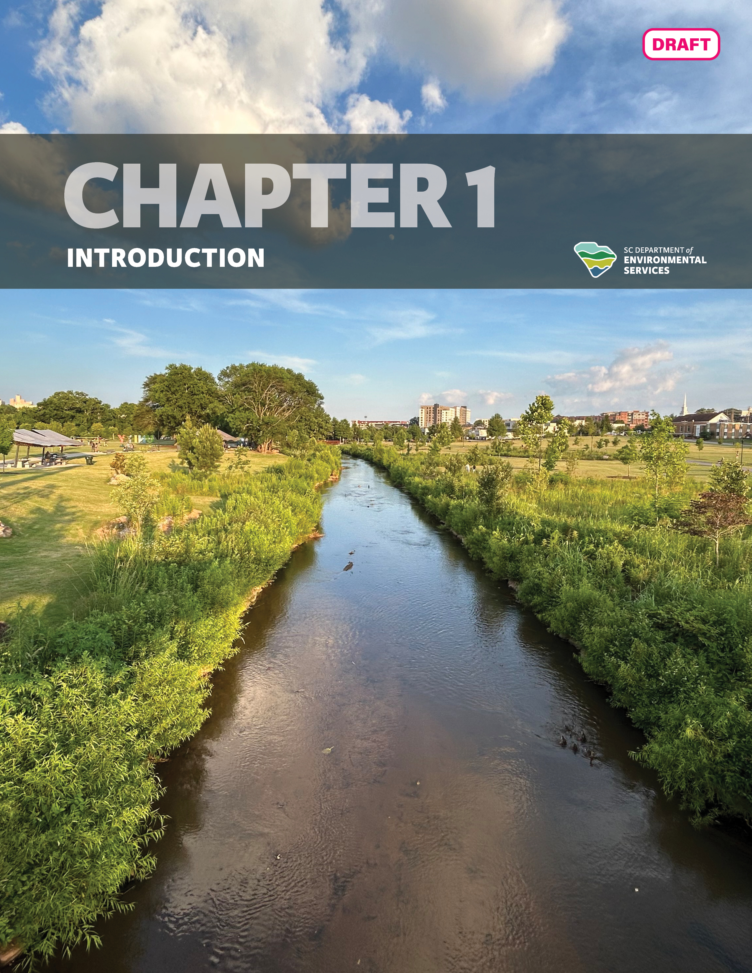 Draft cover page for "Chapter 1: Introduction" of the State Water Plan, featuring an aerial view of a serene river passing through a lush park with city buildings in the distance under a blue sky with scattered clouds.