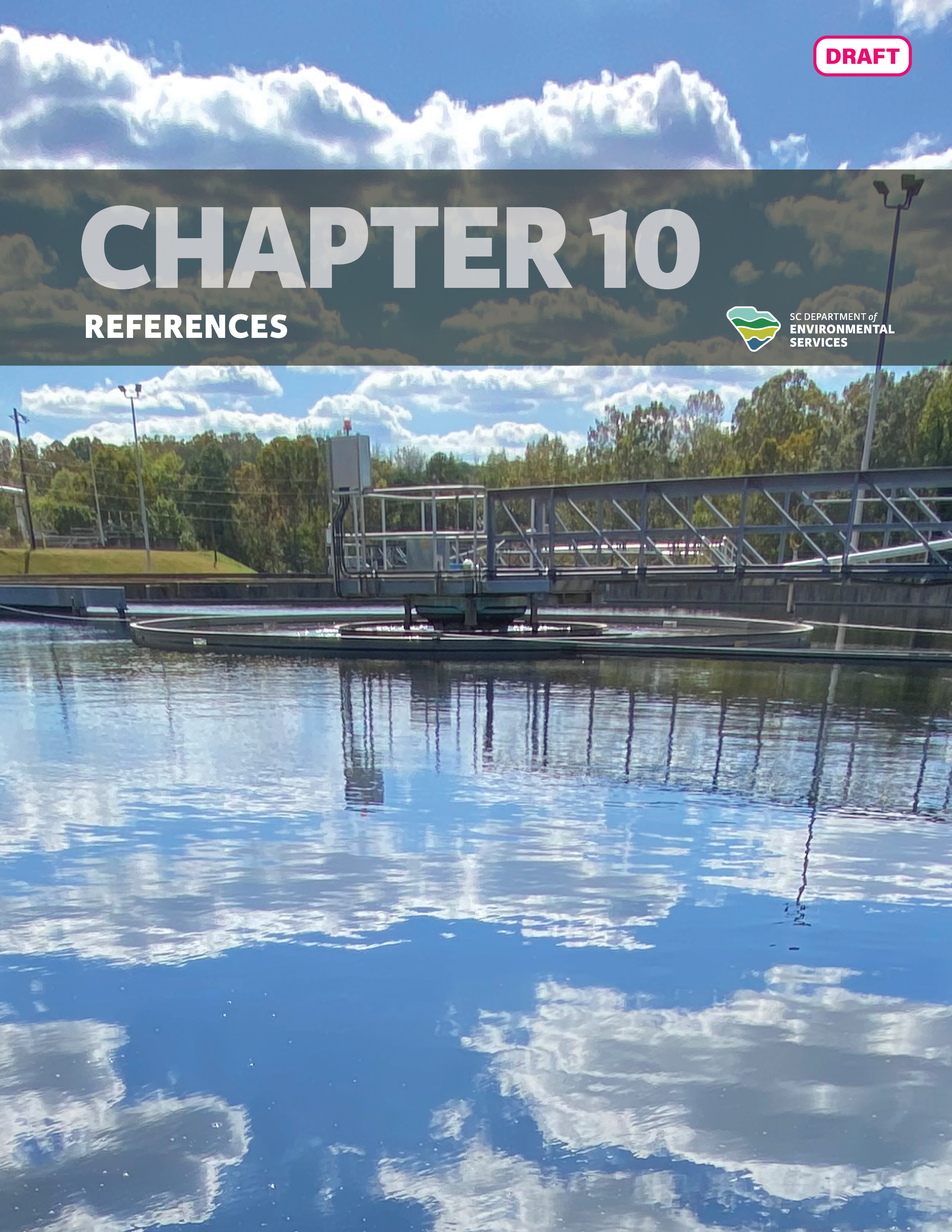 Draft cover of "Chapter 10: References" of the State Water Plan, featuring a reflective body of water with a floating platform, under a cloudy sky.