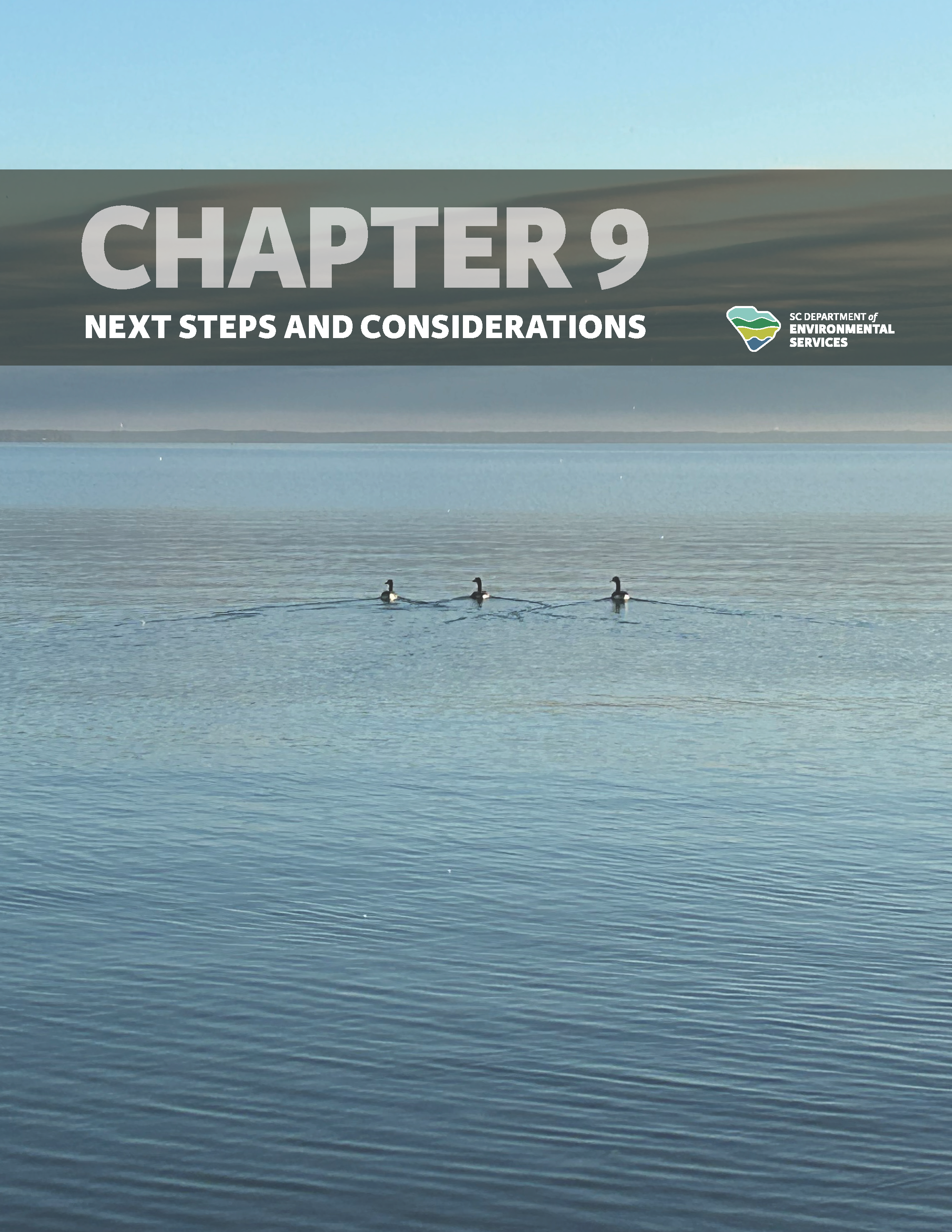Draft document titled 'Chapter 9: Next Steps and Considerations' from, featuring an image of three birds standing in a body of water under a clear sky.