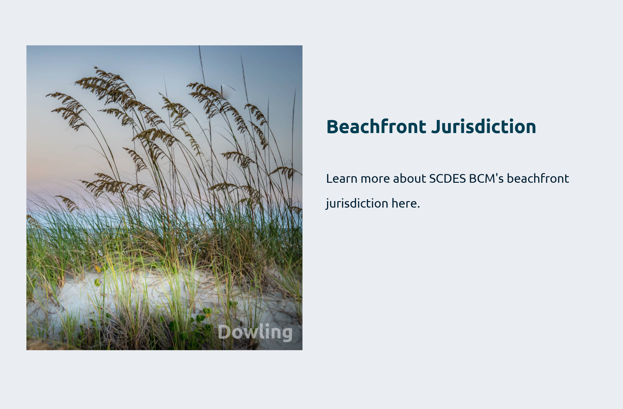 Click here to learn more about SCDES BCM's beachfront jurisdiction