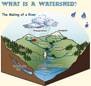Watershed diagram graphic