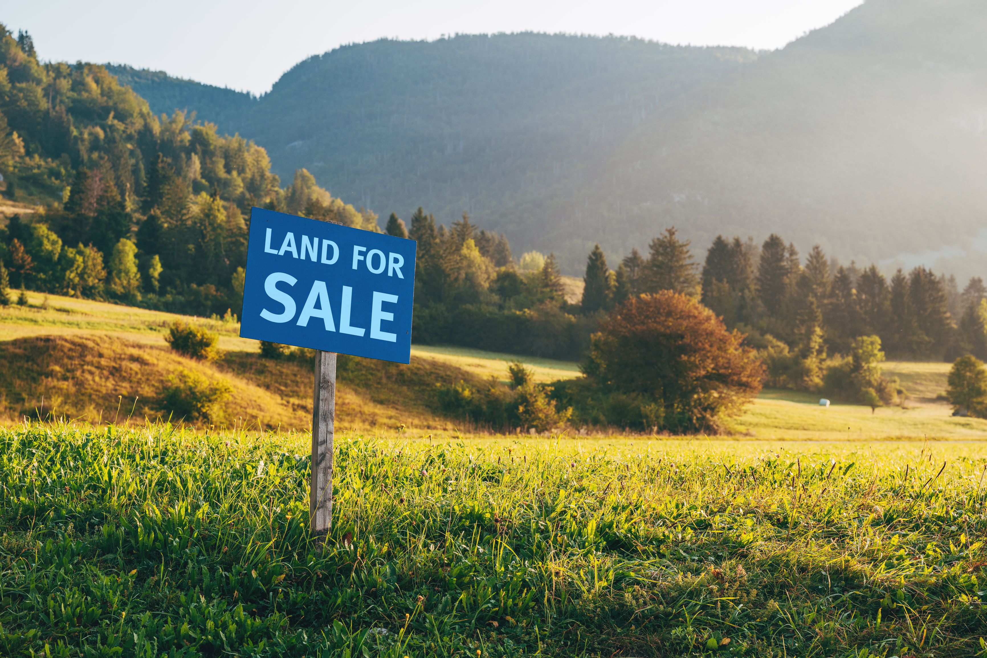 A “Land for Sale” sign stands in a grassy field with hills and trees in the background.