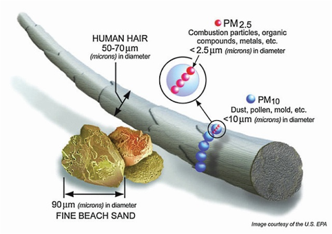 Particulate matter graphic