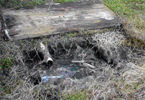 Example of a failed septic system.