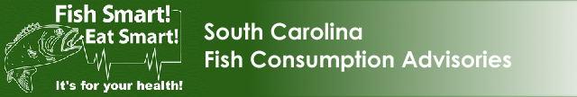 South Carolina Fish Consumption Advisories logo