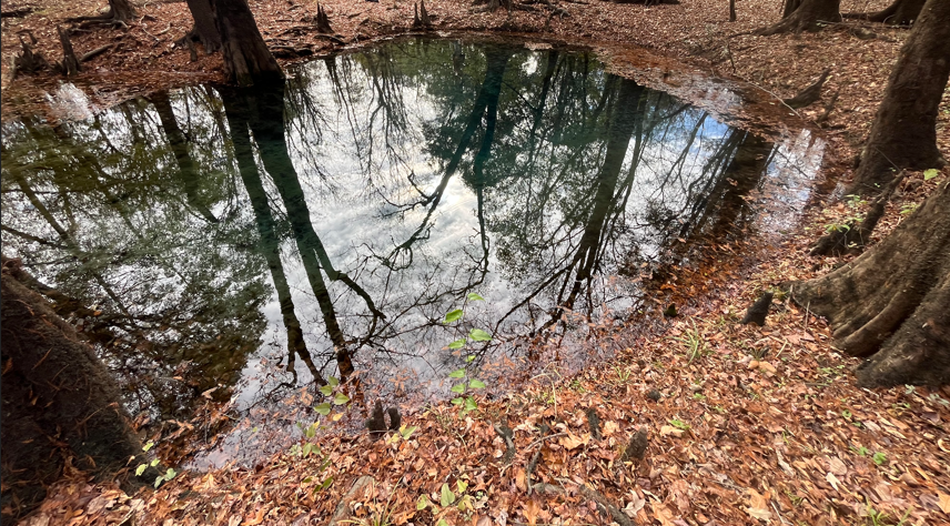 An image of a blue colored pond with bright orange leaves surrounding it and the reflection of trees apparent in the water