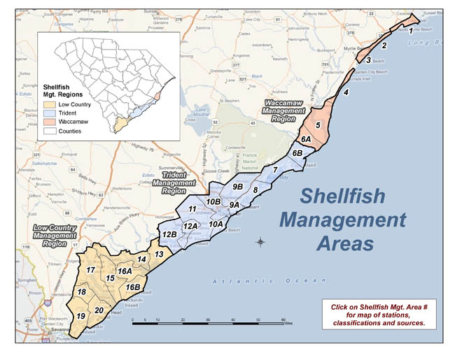 South Carolina Shellfish Management Areas map graphic