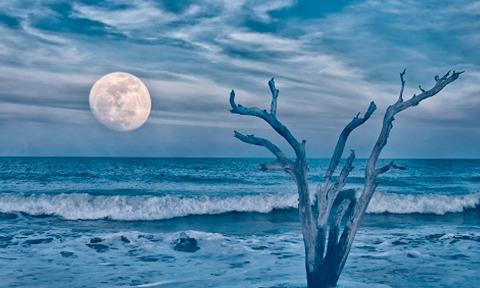 New Moon Over Hobcaw Beach