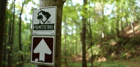 palmetto trail sign in forest