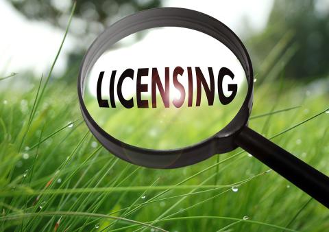 Magnifying glass with the word licensing on grass background. 