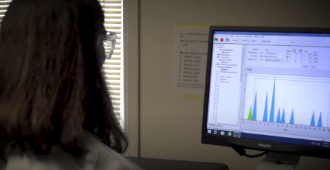 person looking at data on computer
