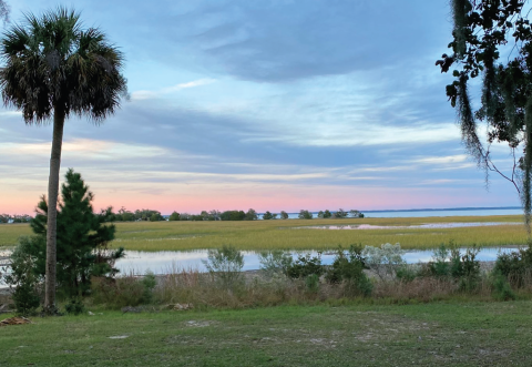 savannah river site