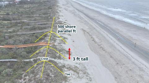 Primary Oceanfront Sand Dune Diagram