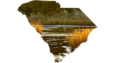 state of sc water