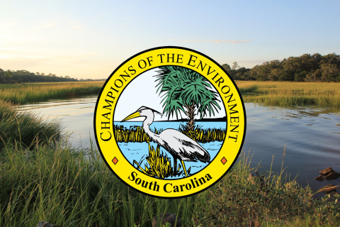 Champions logo and marsh