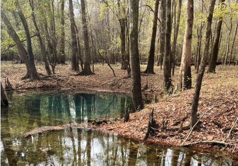 Blue Hole Spring